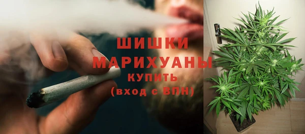 a pvp Тавда