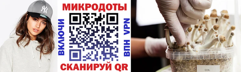 Галлюциногенные грибы мухоморы  купить  сайты  Алейск 