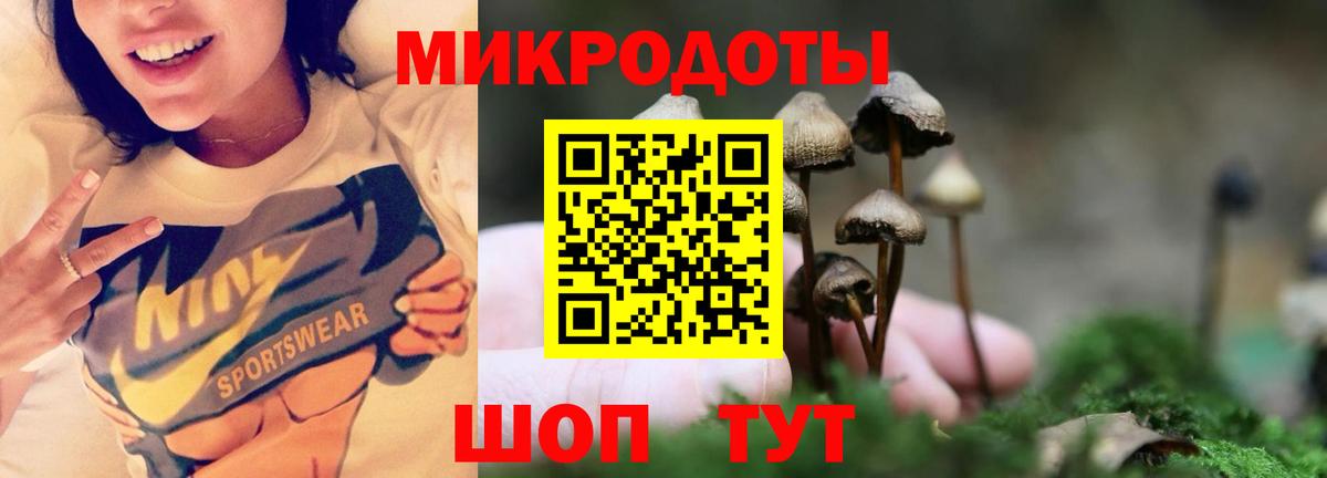 Псилоцибиновые грибы MAGIC MUSHROOMS Алейск