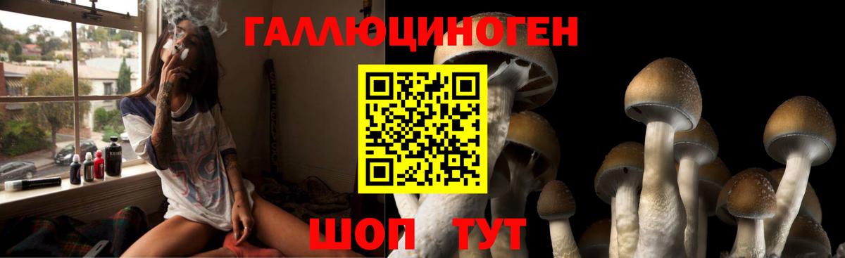Алейск  Галлюциногенные грибы Psilocybine cubensis  Вход с VPN 