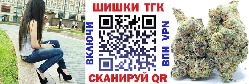 наркота  Алейск  Каннабис индика 