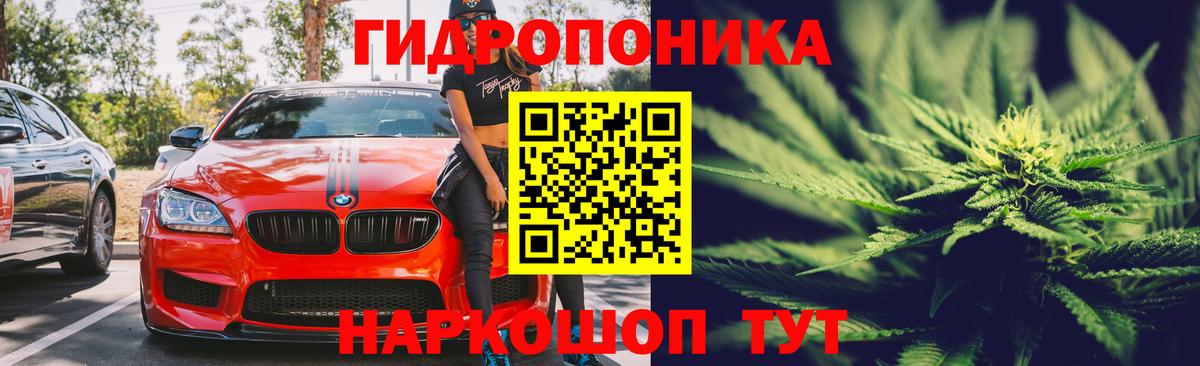 Конопля конопля Алейск